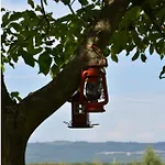 Farmház Siedlisko Na Agatowej W Rudnie